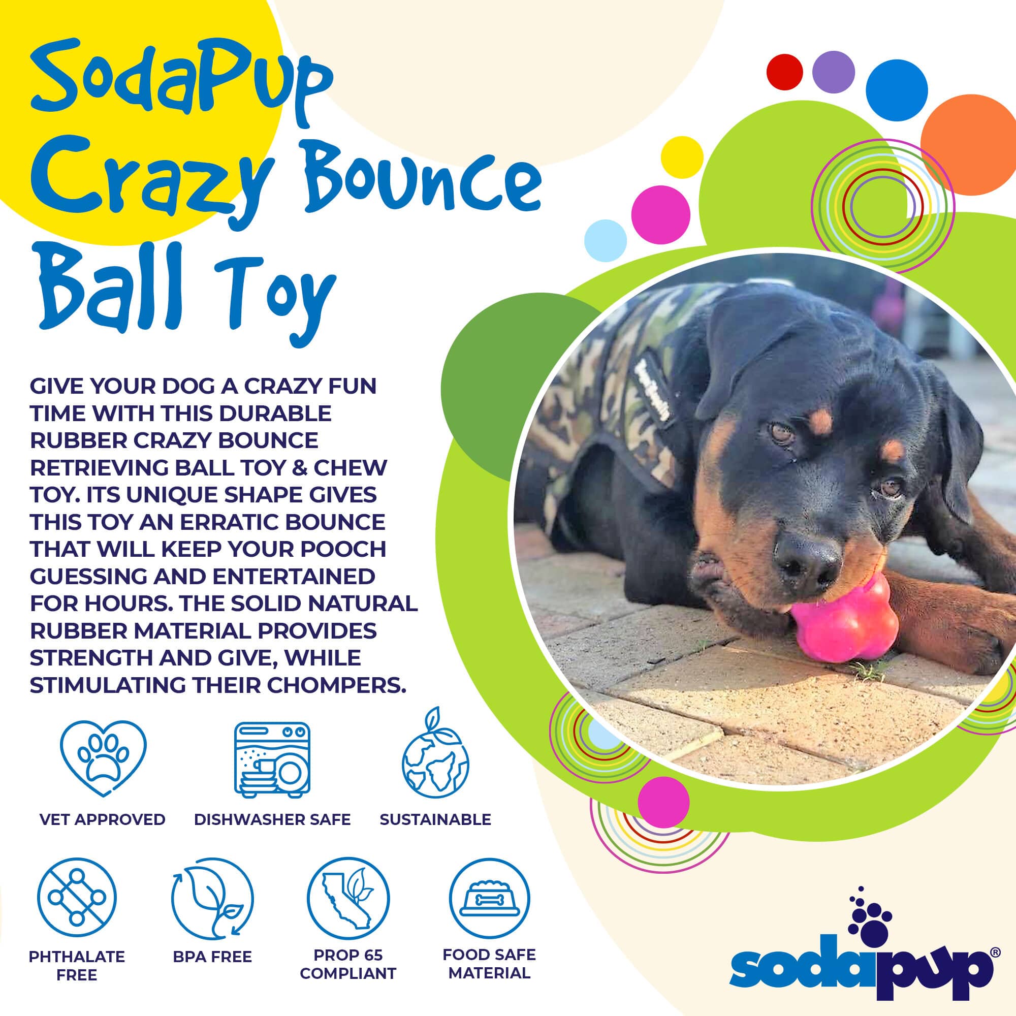 Crazy Bounce Rubber Dog Chew Toy for Power Chewers | Retrieving Ball | USA Made - BIG FRENCHIES
