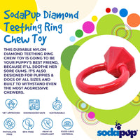 Diamond Ring Nylon Teething Ring for Puppies | Durable & USA Made - BIG FRENCHIES