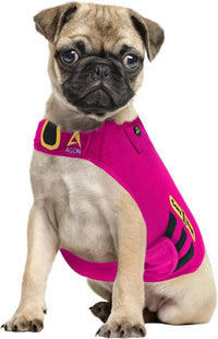 3-in-1 Dog Anxiety Vest with Music & Aromatherapy Calming Coat XXS–XXL