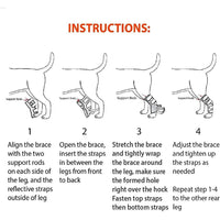 NeoAlly 3-in-1 Long Rear Leg Hock Brace - Rigid and Spring Inserts | Safety Reflective Straps [Long Version] (Pair)