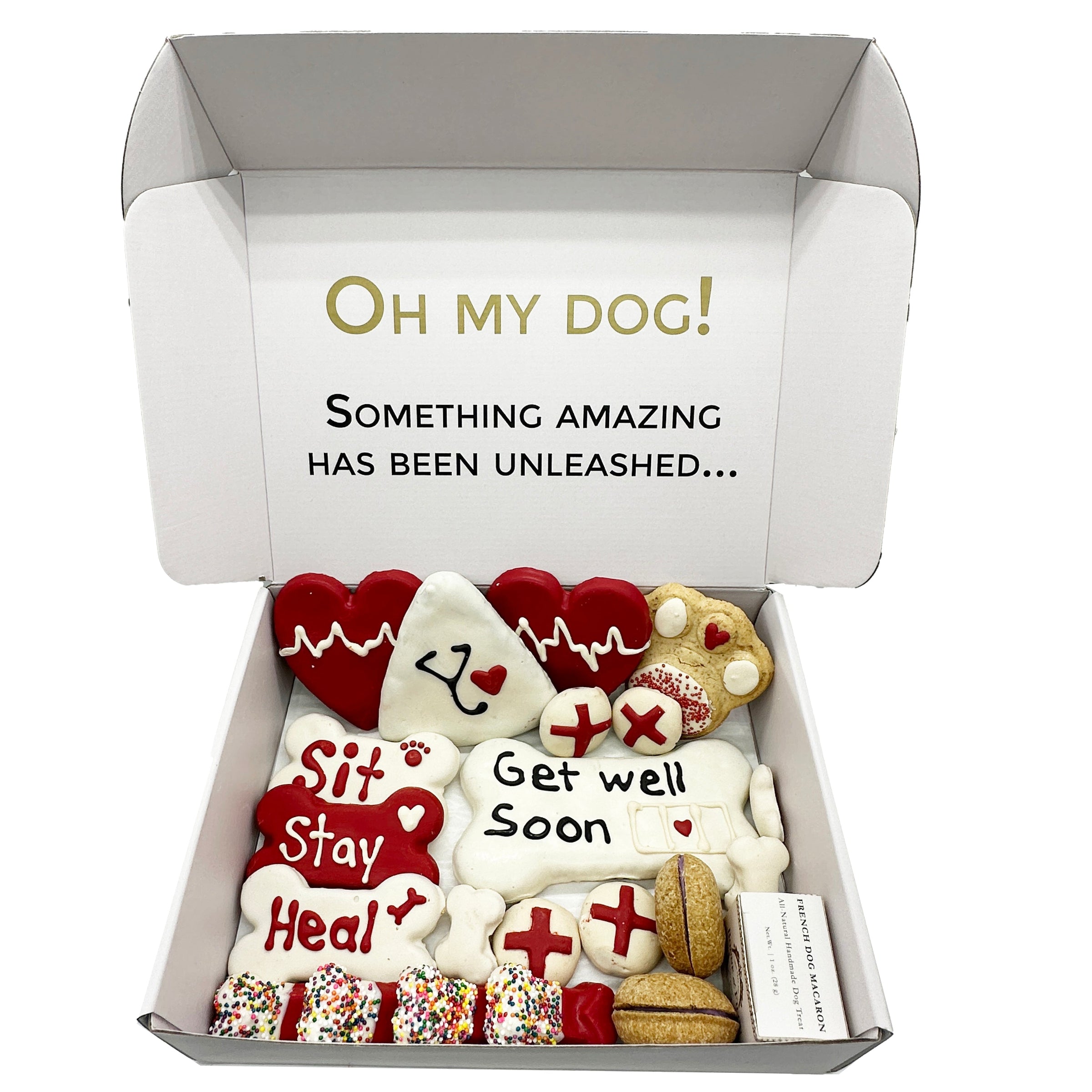 Get Well Soon Themed Dog Treats Gift Box - BIG FRENCHIES