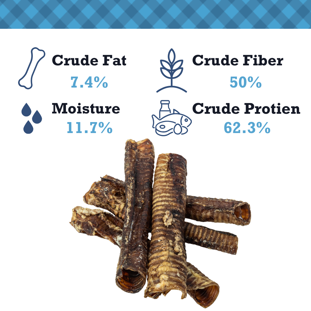 Country Living All-Natural Beef Trachea Dog Treats, Protein-Packed Chews – 12 Inches (5-Pack) - BIG FRENCHIES