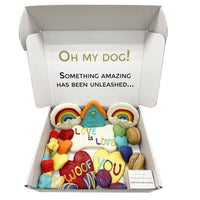 Pride Themed Dog Treats Gift Box - BIG FRENCHIES