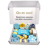 Spring Themed Dog Treats Gift Box - BIG FRENCHIES