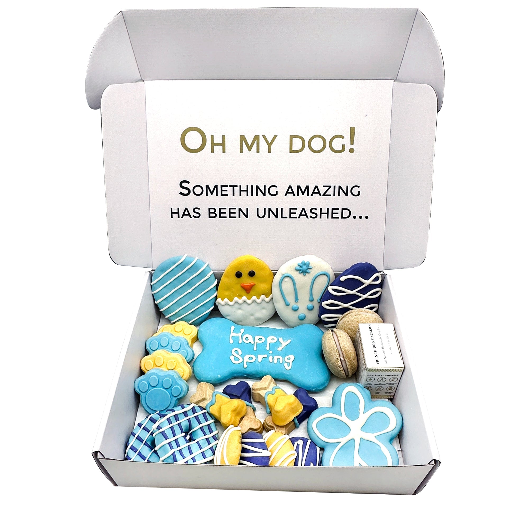 Spring Themed Dog Treats Gift Box - BIG FRENCHIES