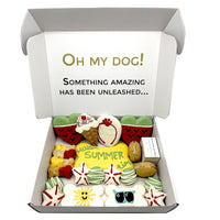 Summer Themed Dog Treats Gift Box - BIG FRENCHIES