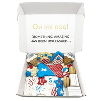 USA Themed Dog Treats Gift Box - BIG FRENCHIES
