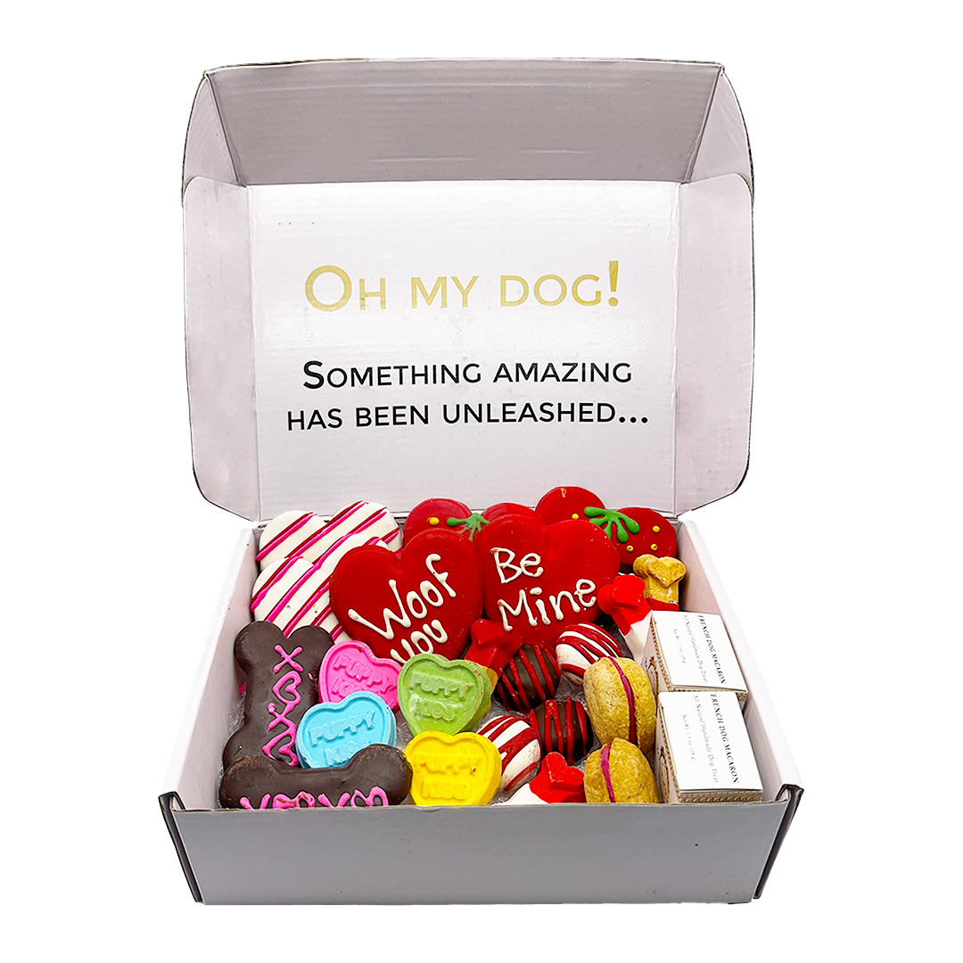 Love My Dog Themed Treats Box - BIG FRENCHIES