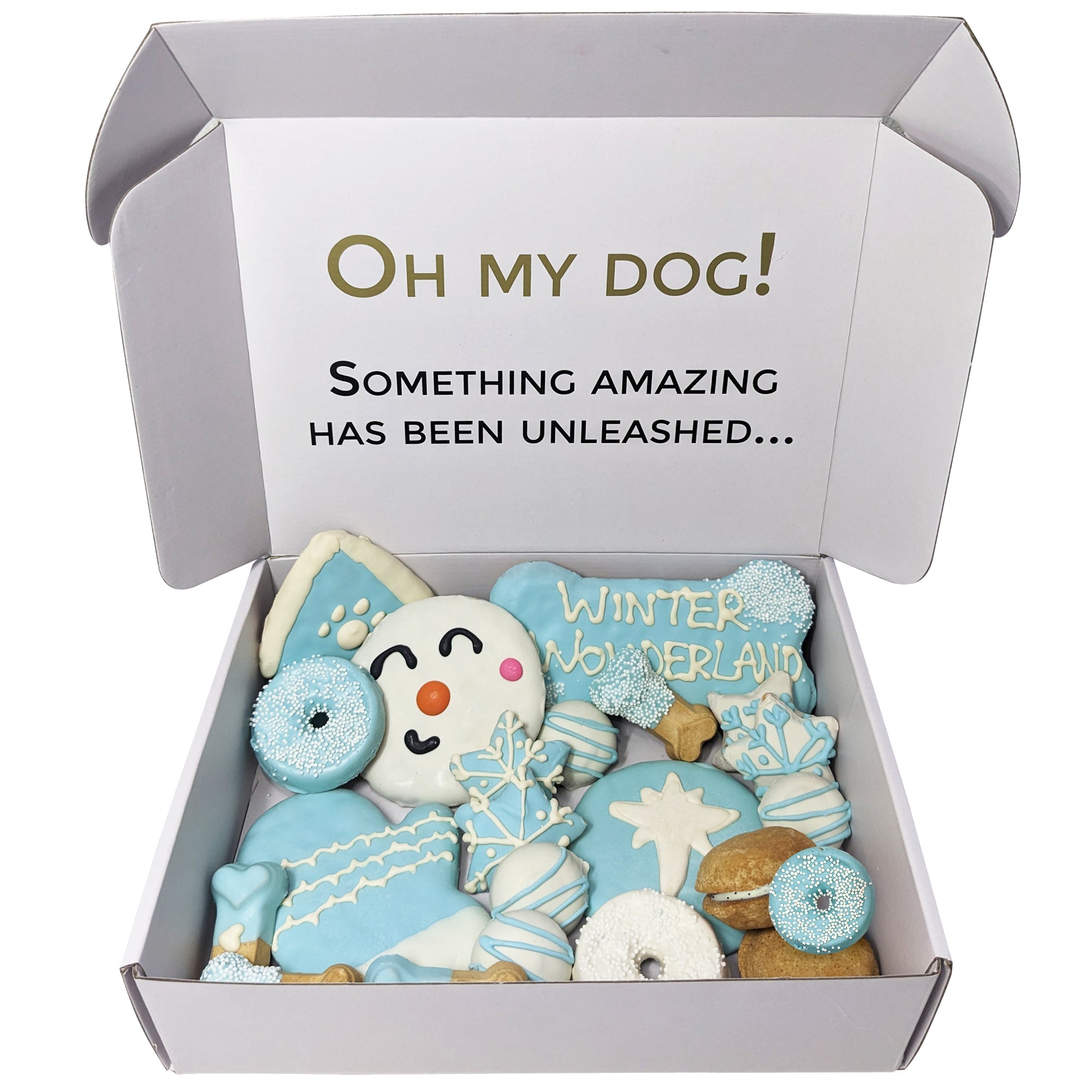 Winter Themed Dog Treats Gift Box - BIG FRENCHIES