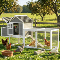 Chicken Coop