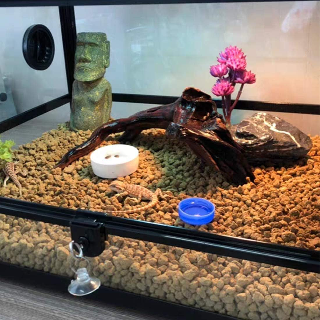 Reptile Plants Artificial - BIG FRENCHIES