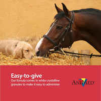 AniMed Pure MSM Horse Joint Supplement Horse Care Support USA Made 16 oz.