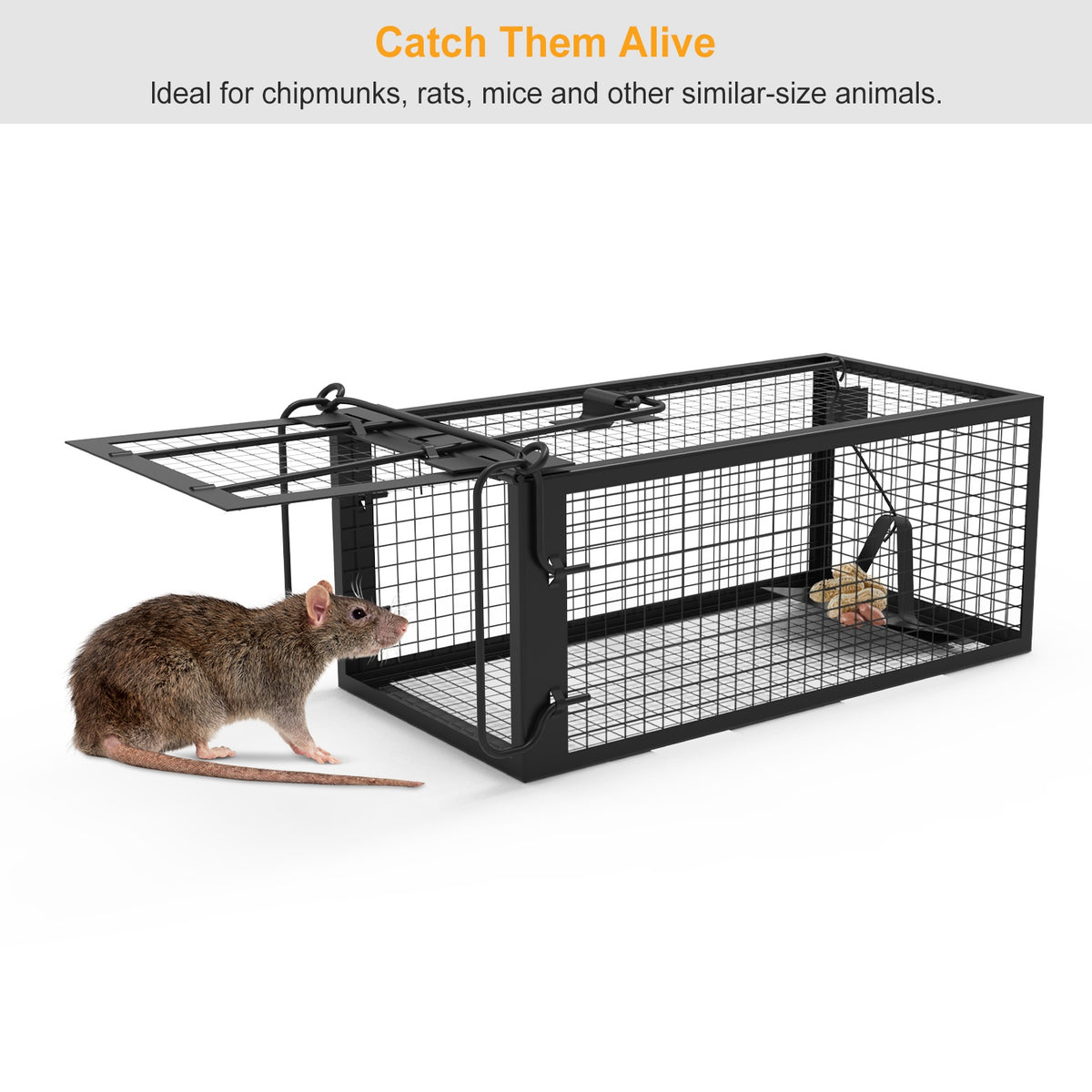 2 Pack Rat Trap Cage Humane Live Rodent Trap Cage Galvanized Iron Mice Mouse Control Bait Catch With Detachable U Shaped