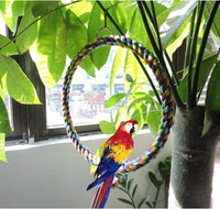 Bird Swing - BIG FRENCHIES
