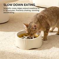 Only Self Pickup---Dual-purpose Slow-cooking Bowl