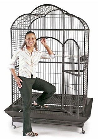 Prevue Pet Products Silverado Macaw Dome Top Cage 3155S, Extra-Large Wrought Iron Bird Cage with Double Locking Door