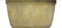 Nutrish Rachael Ray Grain Free Wet Cat Food Ocean Fish & Chicken Catch-iatore, 2.8 oz. Cup, 24 Count