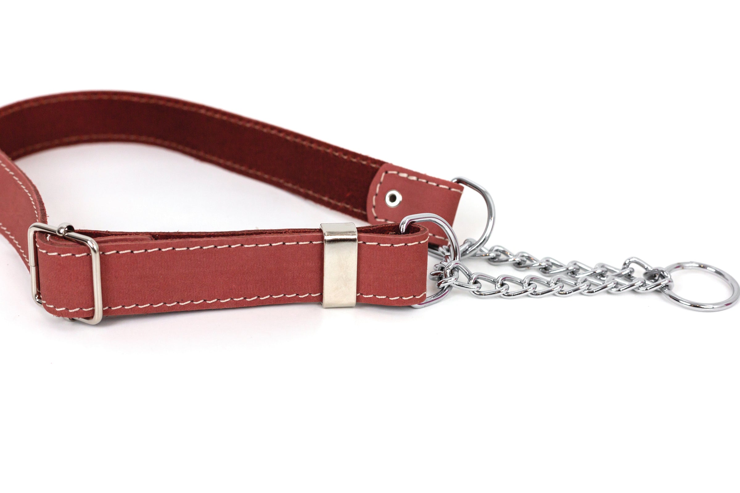 Martingale Coral Reef Leather Dog Collar - BIG FRENCHIES
