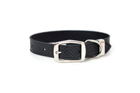 Celtic Double Buckle Style Leather Dog Collar - BIG FRENCHIES