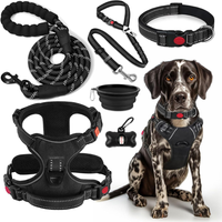 No Pull Dog Harness, Collar & Leash Set, Adjustable Pet Walking Set With Travel Accessories For Dogs