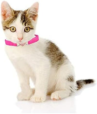 CHUKCHI Heart Bling Cat Collar with Safety Belt and Bell 8-11 Inches