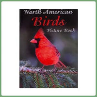 Dementia Puzzle 24 Large Pieces Jigsaw – Garden Birds