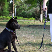 UV Printing Camouflage Embossed Pet Leash Set Is A Perfect Combination Of Style And Functionality Specially Designed For
