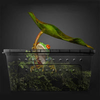 Portable Reptile Terrarium Habitat for Mini Pet Houses Breathable Holes Stackable Container (Black-M) - BIG FRENCHIES