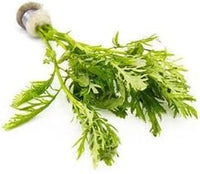 Live Aquarium Stem Plants - Freshwater Aquatic Plant for Fish Tanks, Aquascaping - (Water Wisteria Hygrophila Difformis, 4 Bunches)