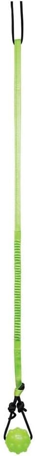 Jolly Pets Tree Tugger Interactive Bungee Dog Toy, Green – Essentials for Dogs - One Size / Dog