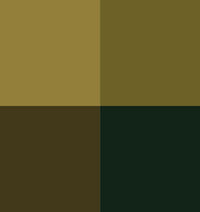 Vallejo, Game Color, 4 Bottles x 0.6 fl.oz. - Dead Flesh Color Set - image 4