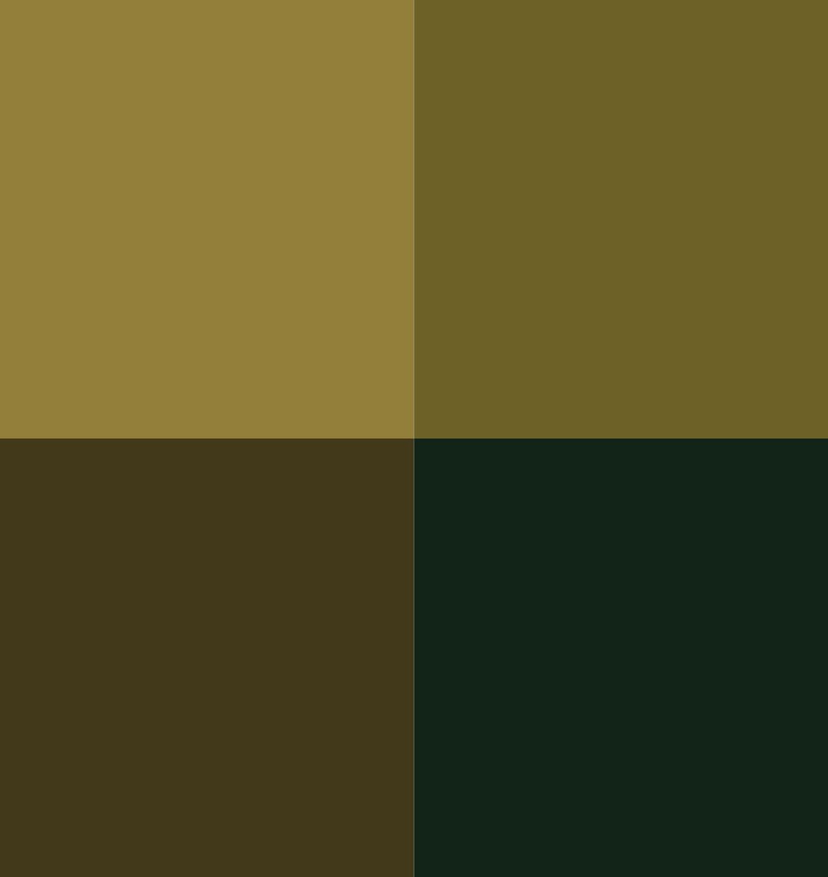 Vallejo, Game Color, 4 Bottles x 0.6 fl.oz. - Dead Flesh Color Set - image 4