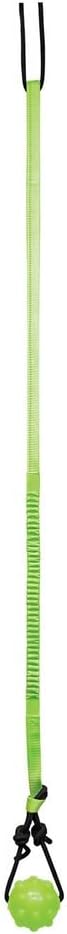 Jolly Pets Tree Tugger Interactive Bungee Dog Toy, Green – Essentials for Dogs - (Pack of 12) / Dog