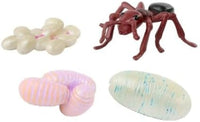 Insect Lore Bug Camp Bundle | Butterfly Kit with 1 Cup Live Caterpillars | Ladybug Land with 1 Tube Live Larvae | Ant Mountain with 1 Tube Live Western Harvester Ants | Life Cycle Figurines & More