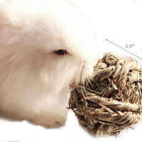 Get Your Furry Friends Hopping with Our Timothy Grass Chew Ball – Perfect Playtime for Bunnies, Hamsters, and Guinea Pigs! 🐰🐹🥳 - BIG FRENCHIES