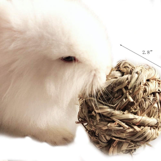 Get Your Furry Friends Hopping with Our Timothy Grass Chew Ball – Perfect Playtime for Bunnies, Hamsters, and Guinea Pigs! 🐰🐹🥳 - BIG FRENCHIES