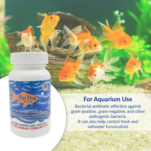 Fish Cipro 500mg Tablets for Aquarium Fish – 30 Count – Water Care Support
