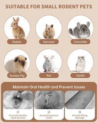 Rabbit Chew Toys 31PCS Natural Small Pet Toys Teeth Grinding Set