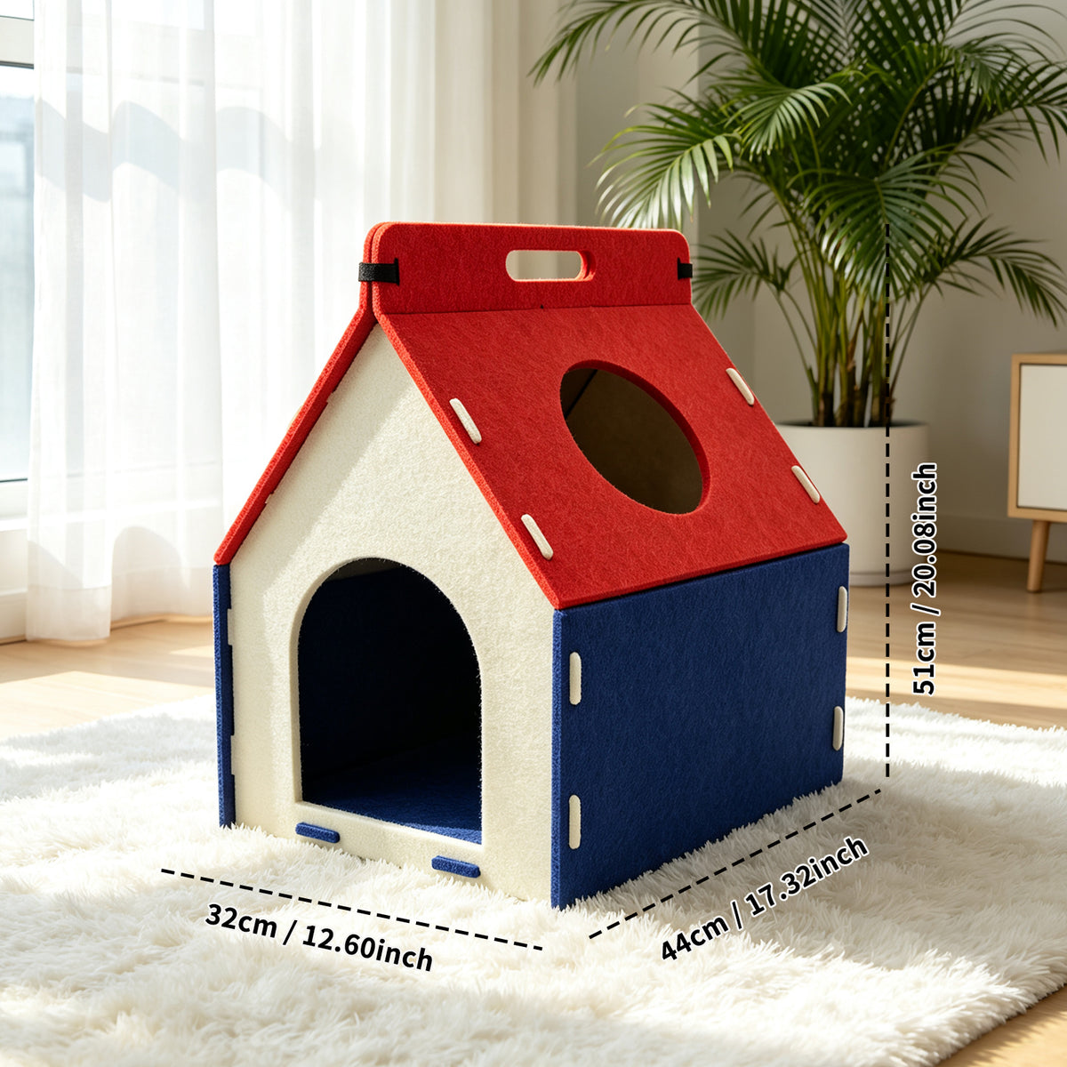 Cat Carrying A House