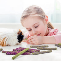 32Pcs Timothy Hay Sticks 320G Rabbit Toys Bunny, Guinea Pig Toys Natural Hamster Toys for Teeth Handmade Treats and Chews Chinchilla Rat Gerbil - BIG FRENCHIES