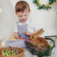 32Pcs Timothy Hay Sticks 320G Rabbit Toys Bunny, Guinea Pig Toys Natural Hamster Toys for Teeth Handmade Treats and Chews Chinchilla Rat Gerbil - BIG FRENCHIES