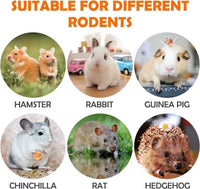 32Pcs Timothy Hay Sticks 320G Rabbit Toys Bunny, Guinea Pig Toys Natural Hamster Toys for Teeth Handmade Treats and Chews Chinchilla Rat Gerbil - BIG FRENCHIES