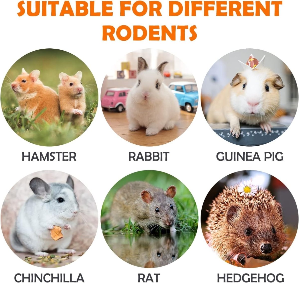 32Pcs Timothy Hay Sticks 320G Rabbit Toys Bunny, Guinea Pig Toys Natural Hamster Toys for Teeth Handmade Treats and Chews Chinchilla Rat Gerbil - BIG FRENCHIES