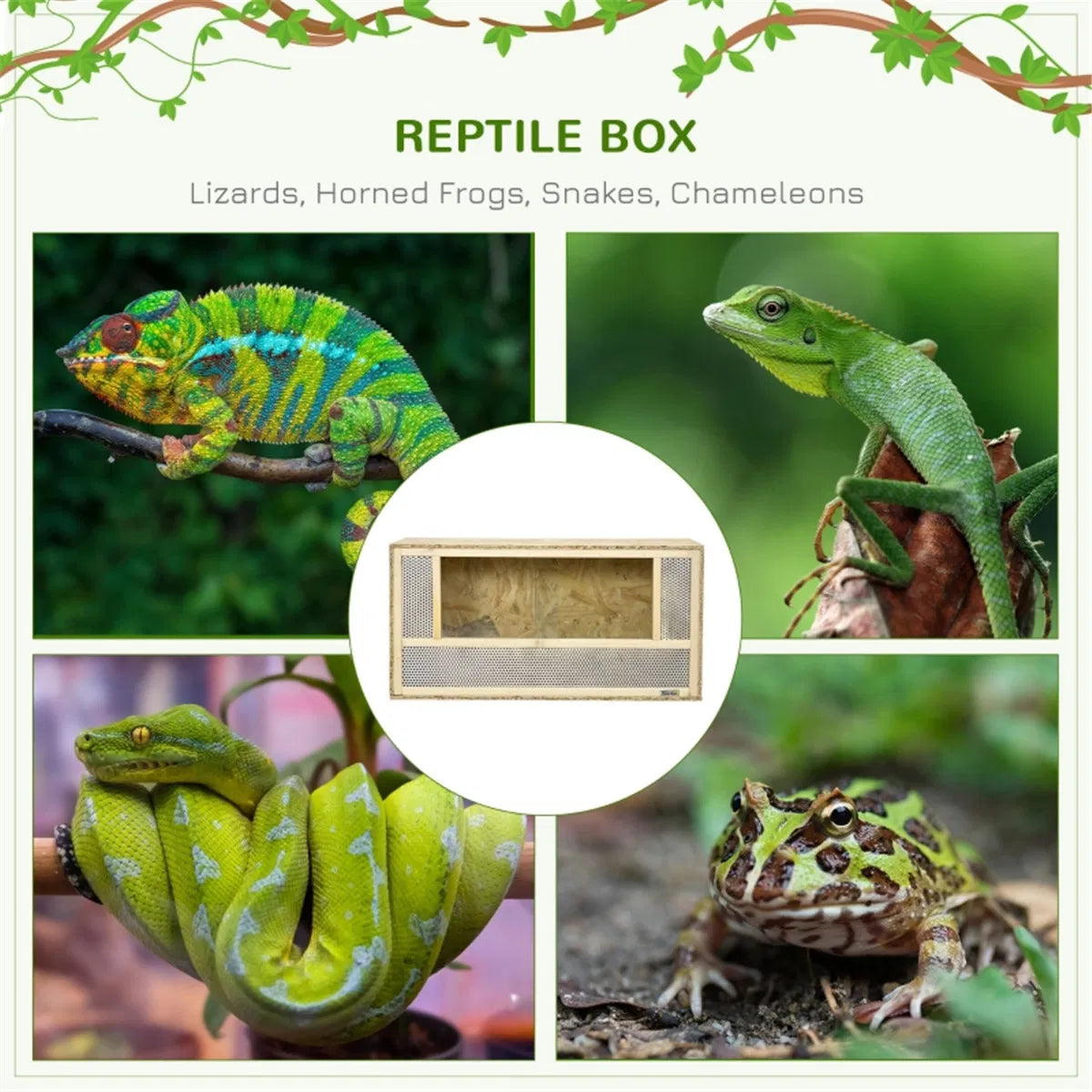 Turtle Cage/ Tortoise House