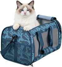 Soft-Sided Pet Carrier for Cats & Small Dogs, 22 lb, 19-Inch
