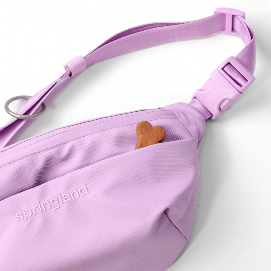 Hands-Free Dog Walking Bag with 4ft Leash - BIG FRENCHIES
