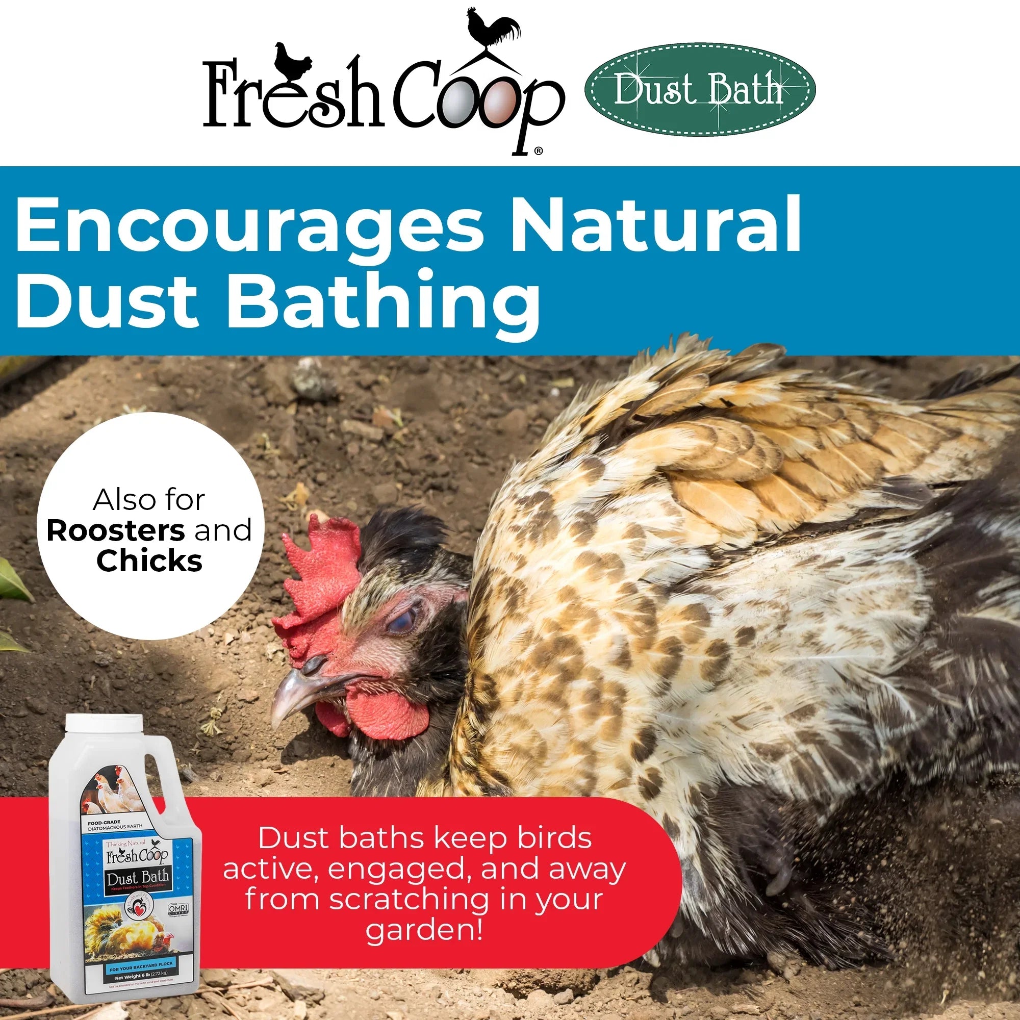 Fresh Coop Dust Bath Shaker Absorbent Chicken Bird Bath Backyard Poultry 6lbs.