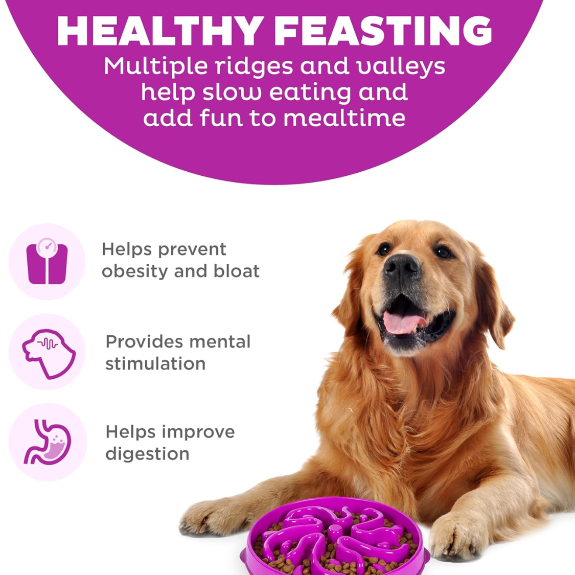 Hound Feeder Slo Bowl Large 4 Cup Capacity, Slow Feeding, Medium To Large Dogs, Non Slip, Purple, Flower Pattern