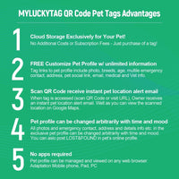QR Code Pet Tags: Instant Email Alerts & Online Profiles - BIG FRENCHIES
