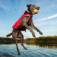 Surf N’ Turf Dog Life Jacket - Flotation Life Vest for Swimming and Boating
